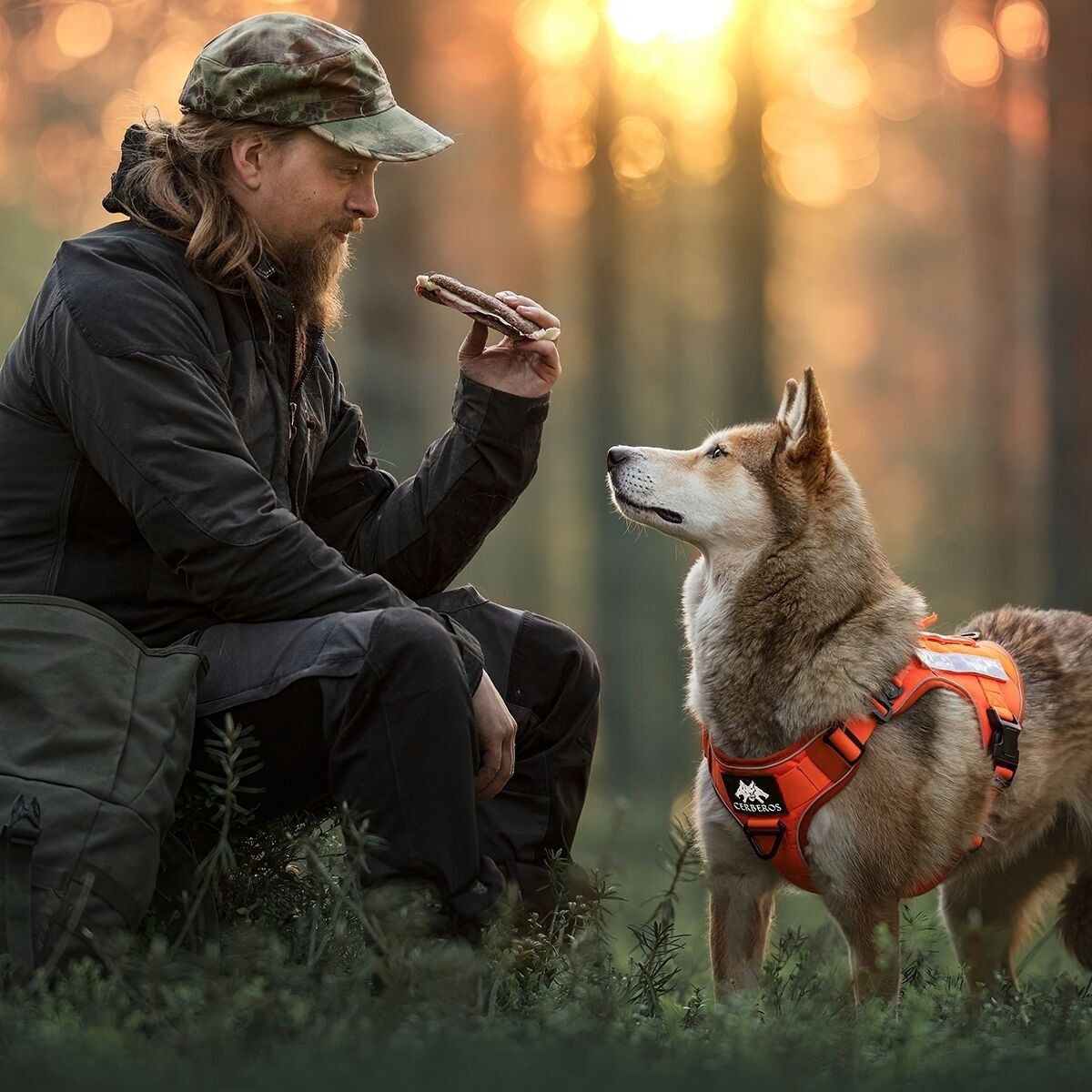 Cerberos Tactical harness Rescue Orange
