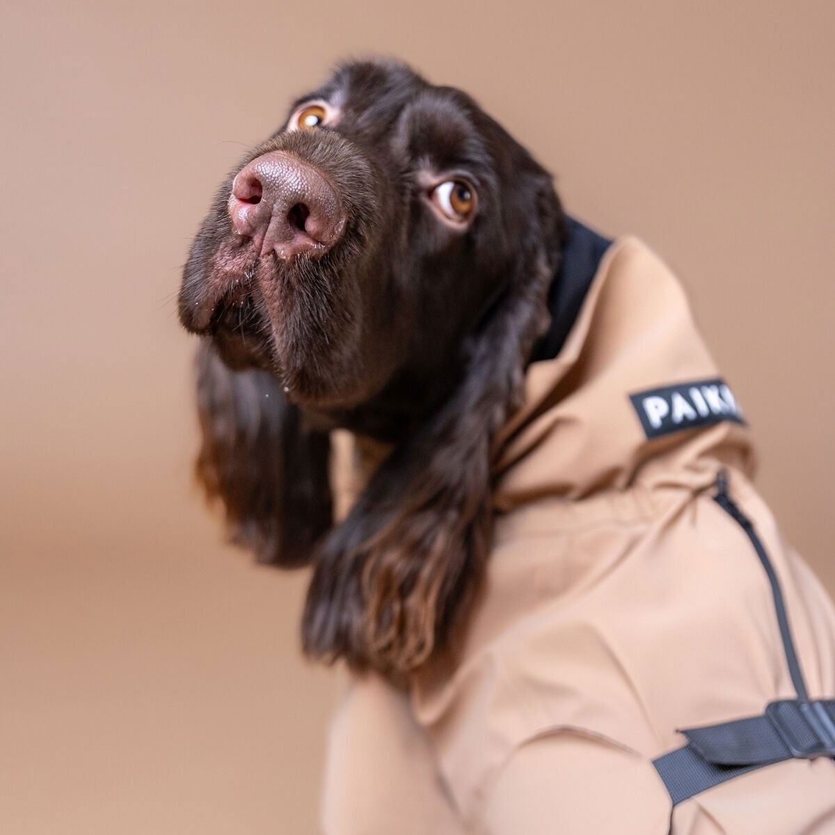 PAIKKA Visibility raincoat lite, Taupe