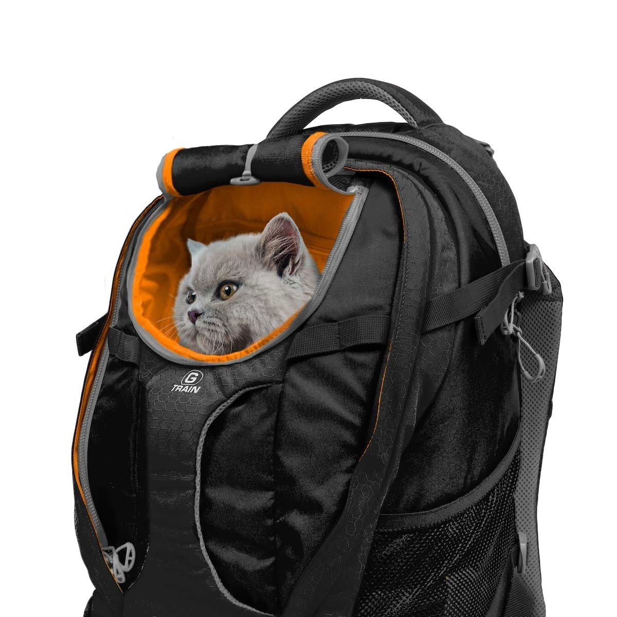 Kurgo G-Train K9 Pack