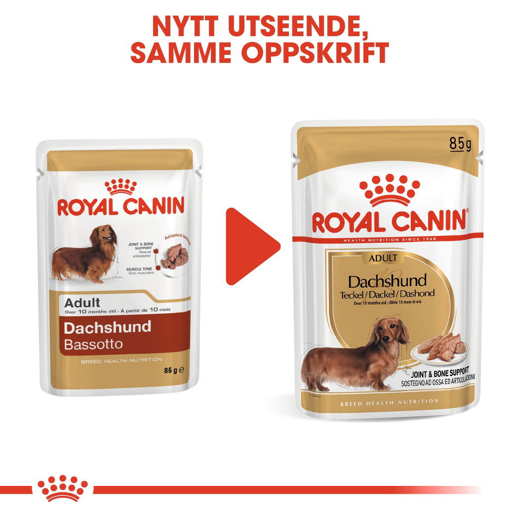 Royal Canin Dachshund Adult Loaf våtfôr til hund