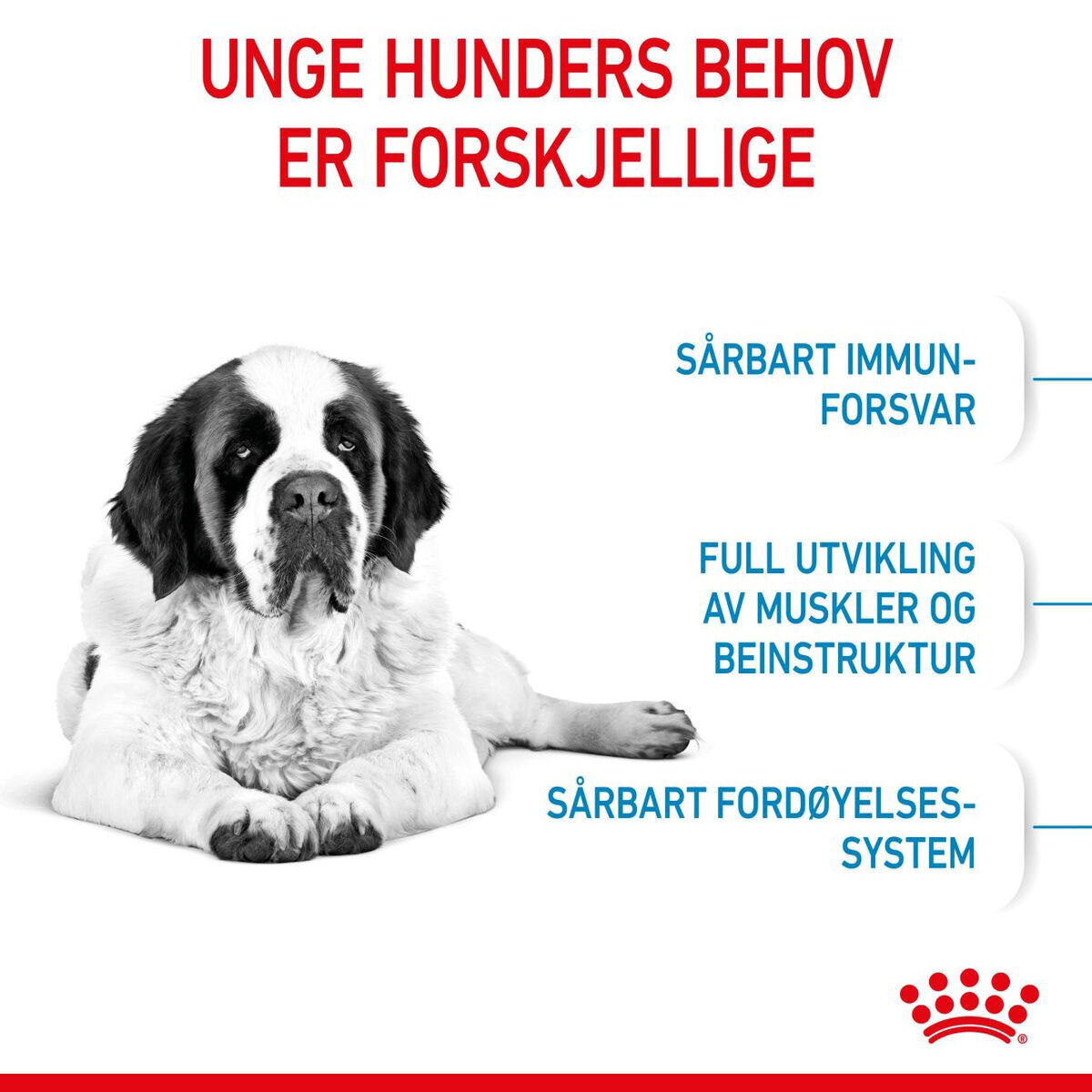 Royal Canin Giant Junior tørrfôr til valp