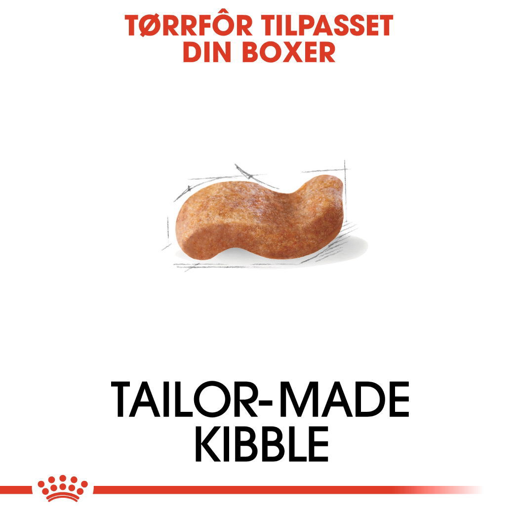 Royal Canin Boxer Adult tørrfôr til hund