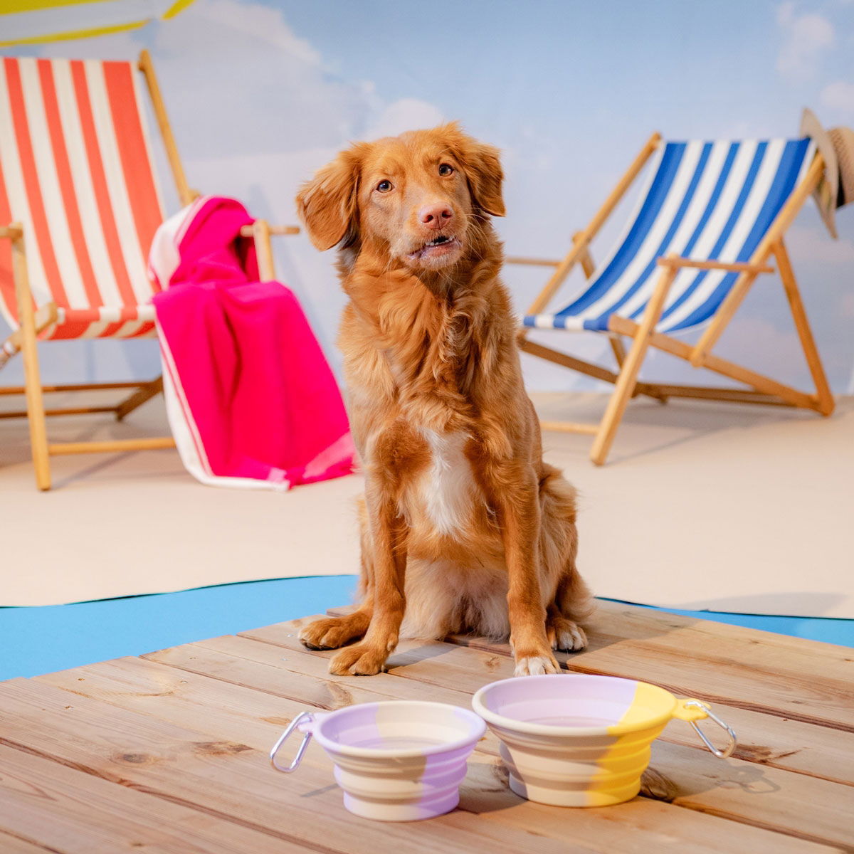 Little&Bigger Voyage collapsible silicone travel bowl lilac-yellow-beige L