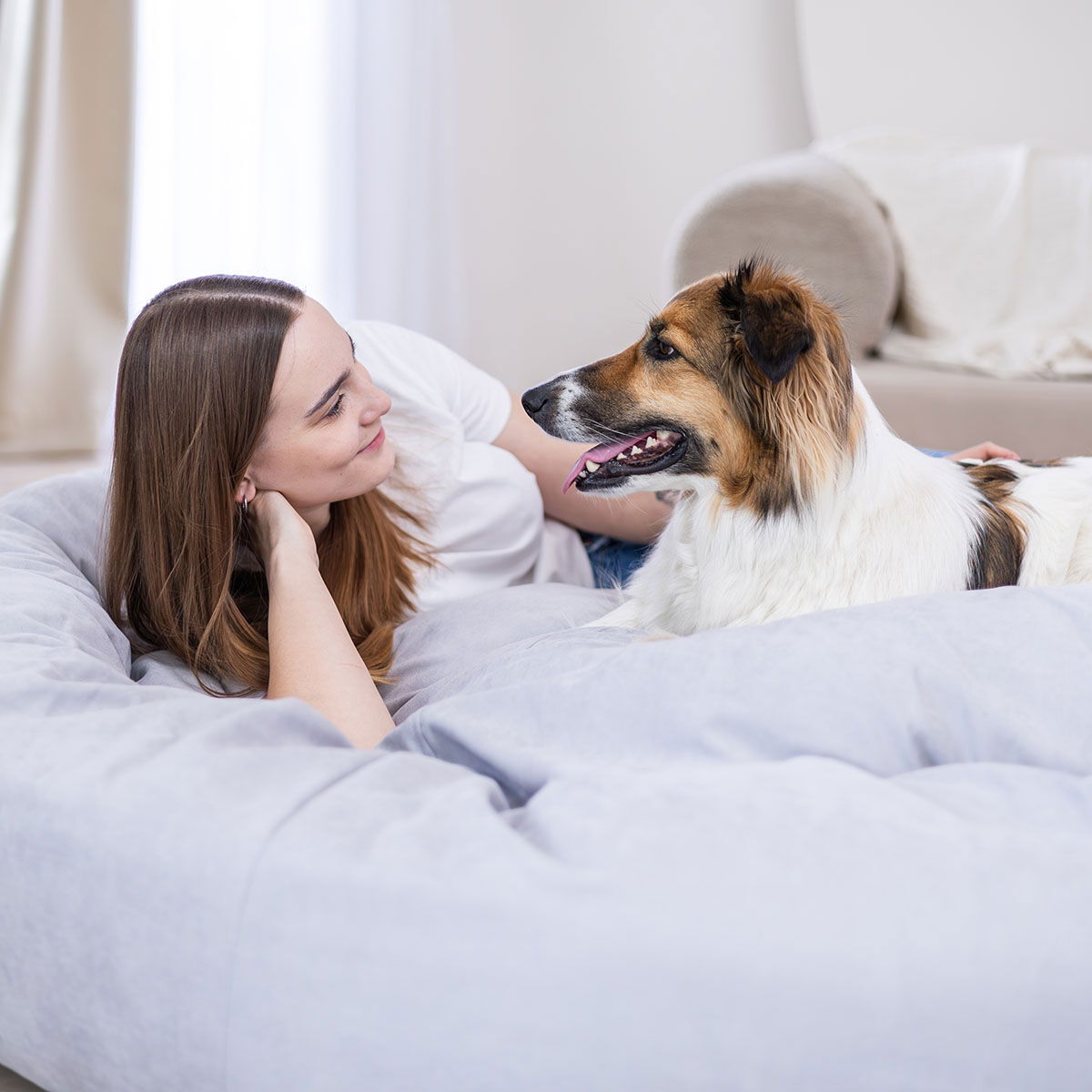 Quapas! Super Snuggler XXL Grey