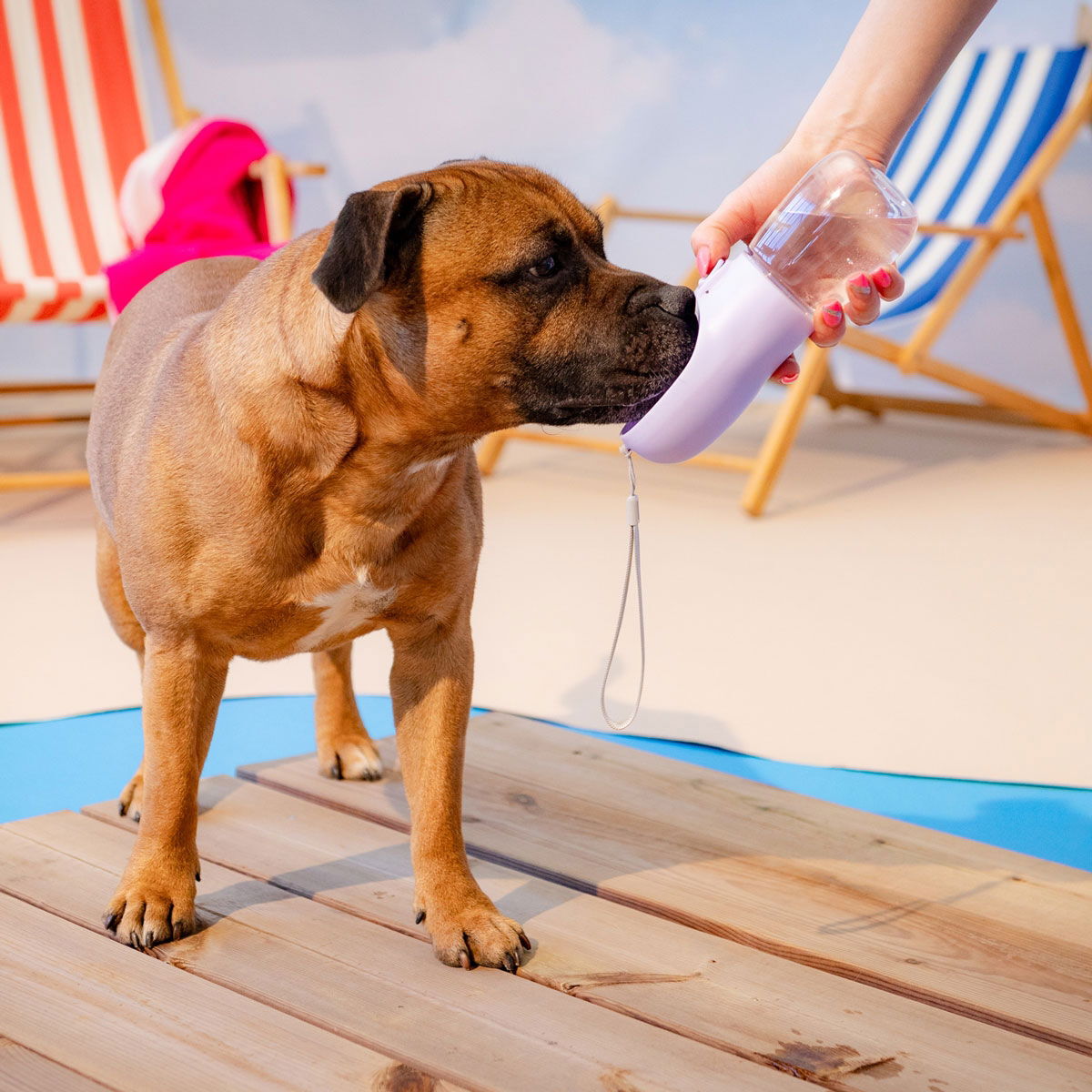 Little&Bigger Voyage bottle with scoop lilac 300 ml