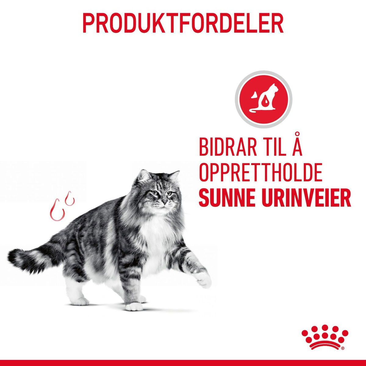 Royal Canin Urinary Care Adult tørrfôr til katt