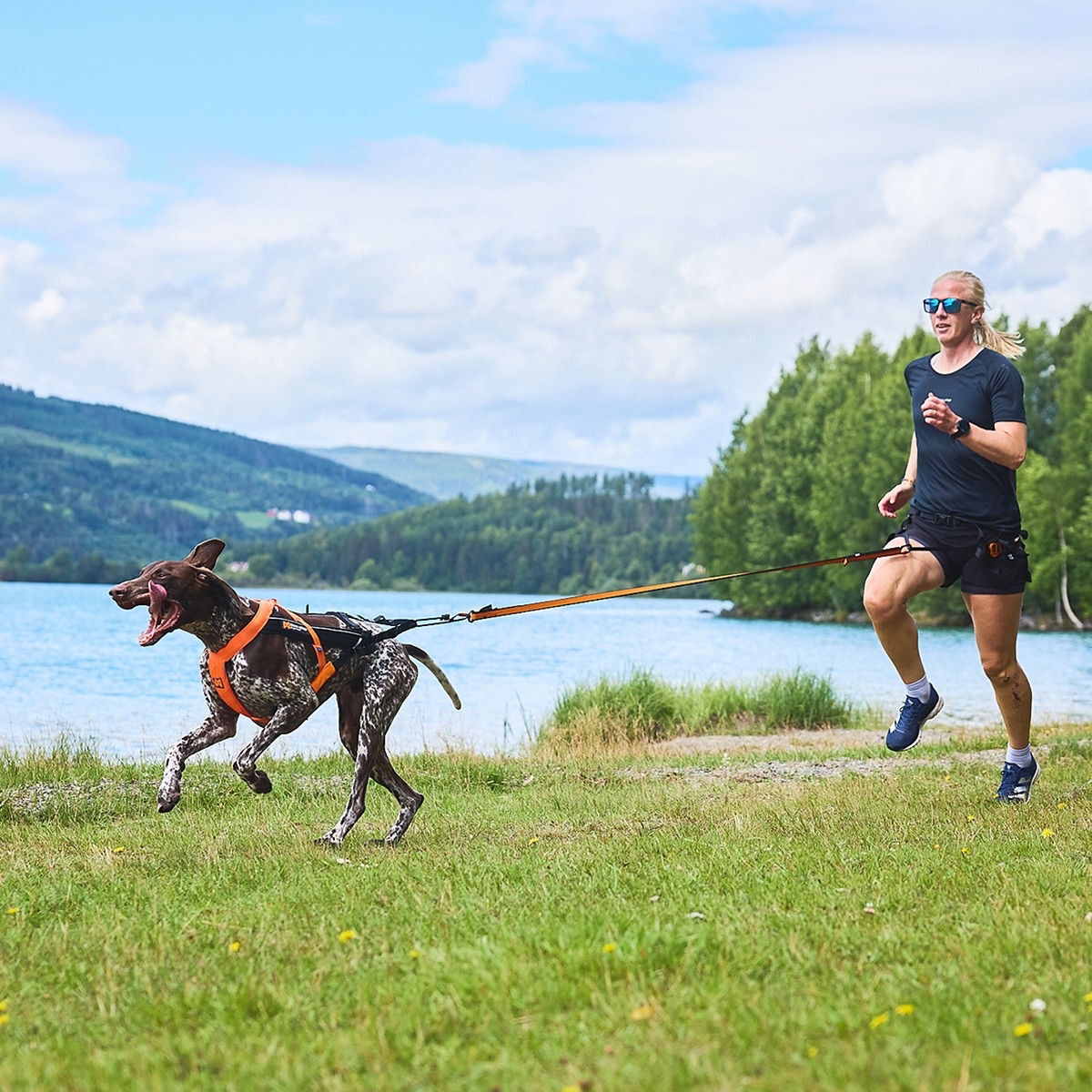 Non-Stop Freemotion harness 5.0 black/orange