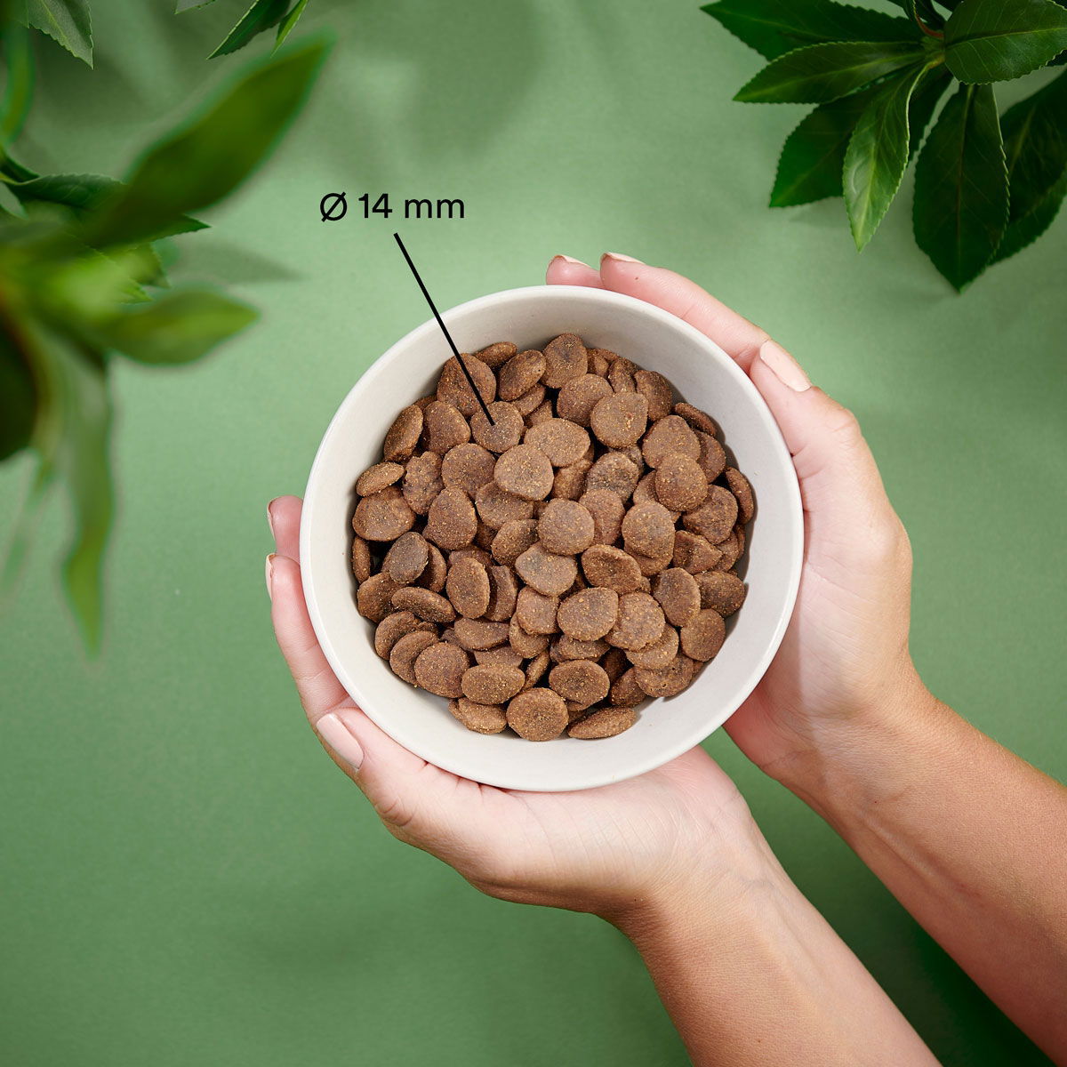 Purenatural Dog Grain Free Pork