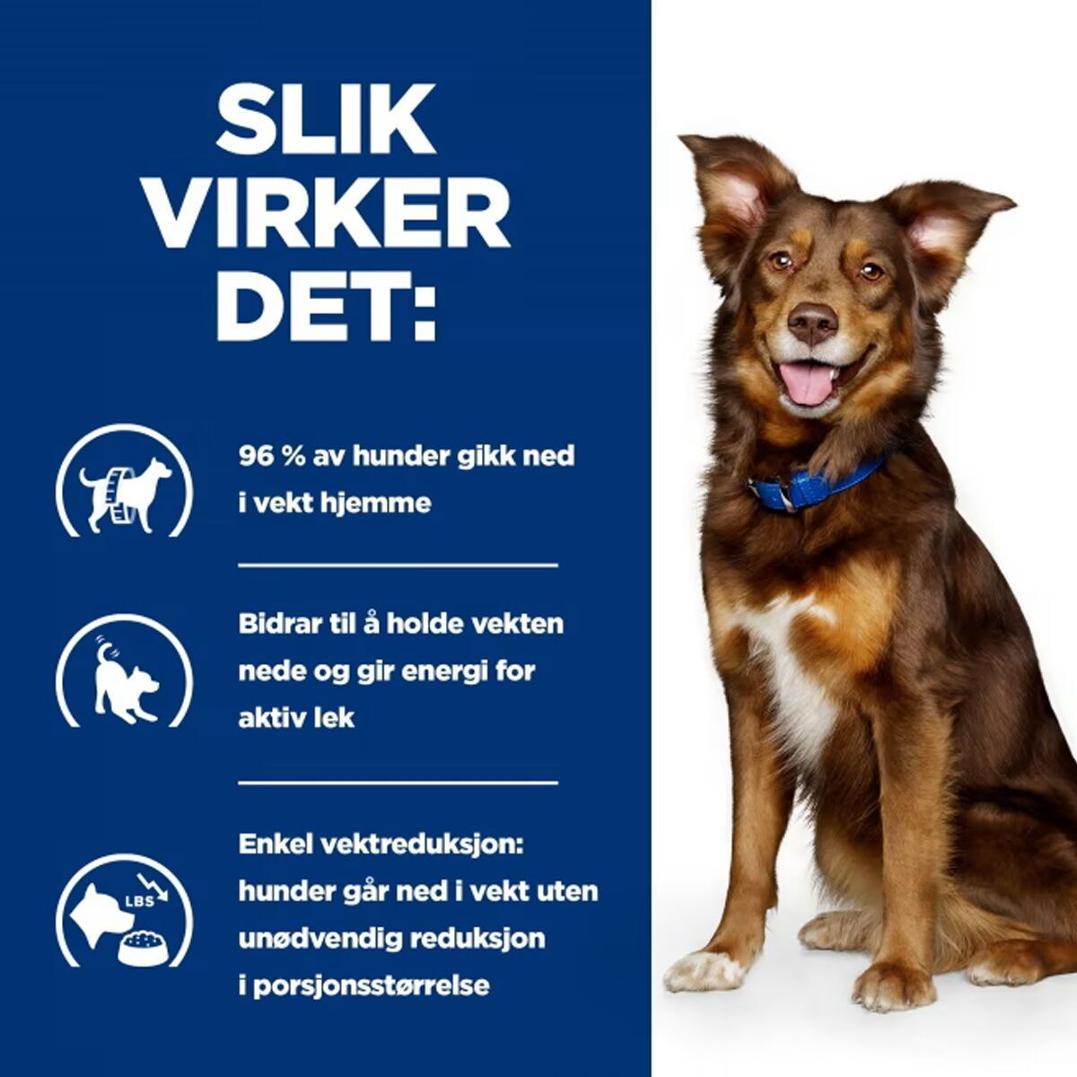 Hill's Prescription Diet Canine Metabolic Weight Loss & Maintenace Chicken 2x12 kg