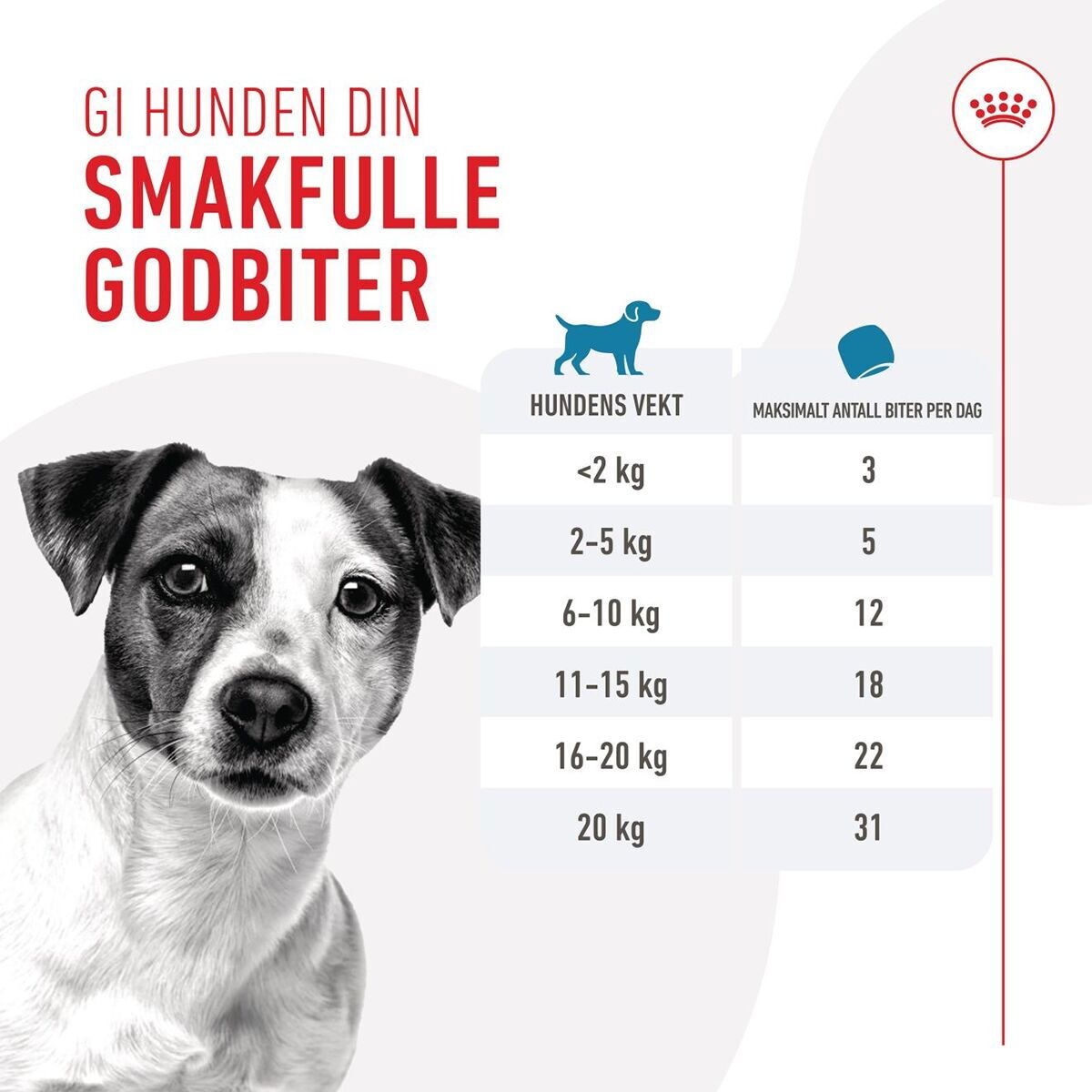 Royal Canin Dog Training Treats 110g