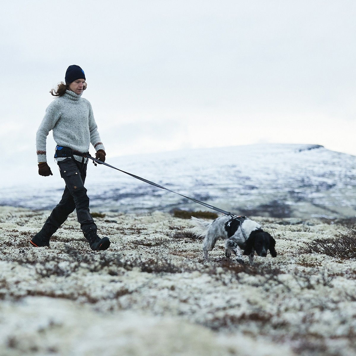 Non-stop Touring Bungee Leash