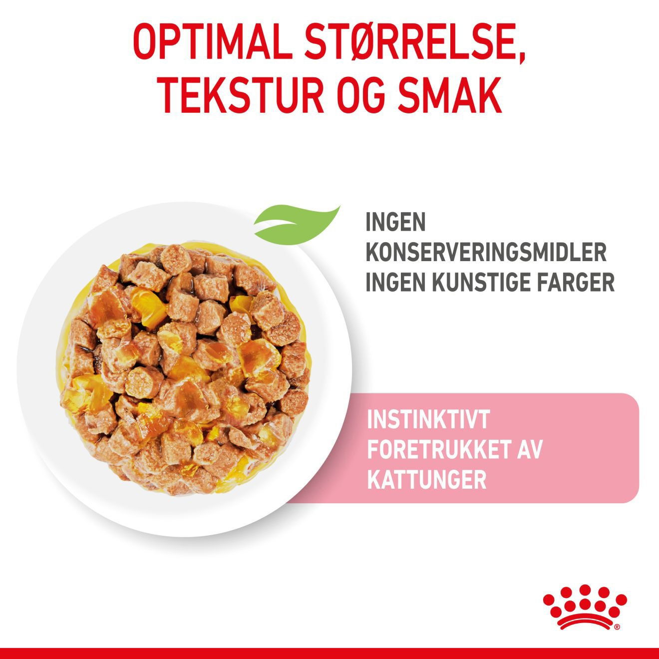 RC FHN Kitten Sterilised Jelly 12x85g