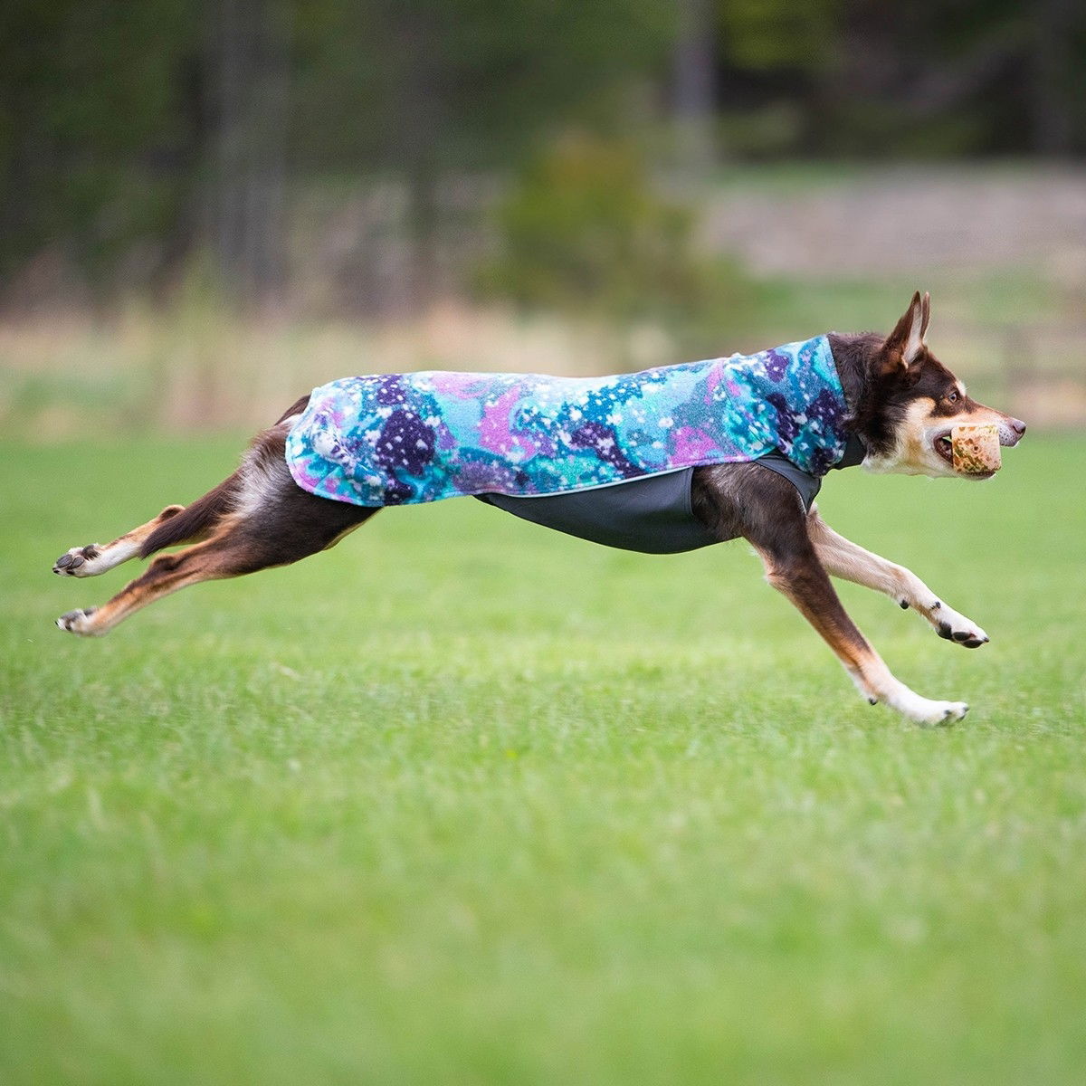 Jumppa Pomppa, Aurora