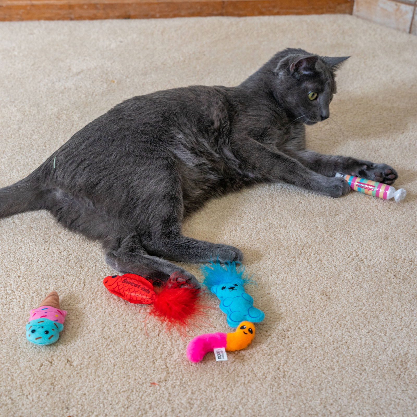 Catstages Kitty Sweet Treats toys 6-pack