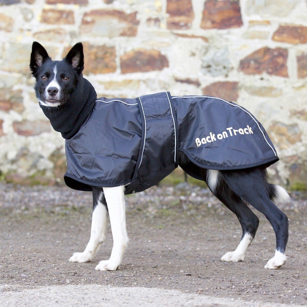 Back on Track Whippet rug, Black  