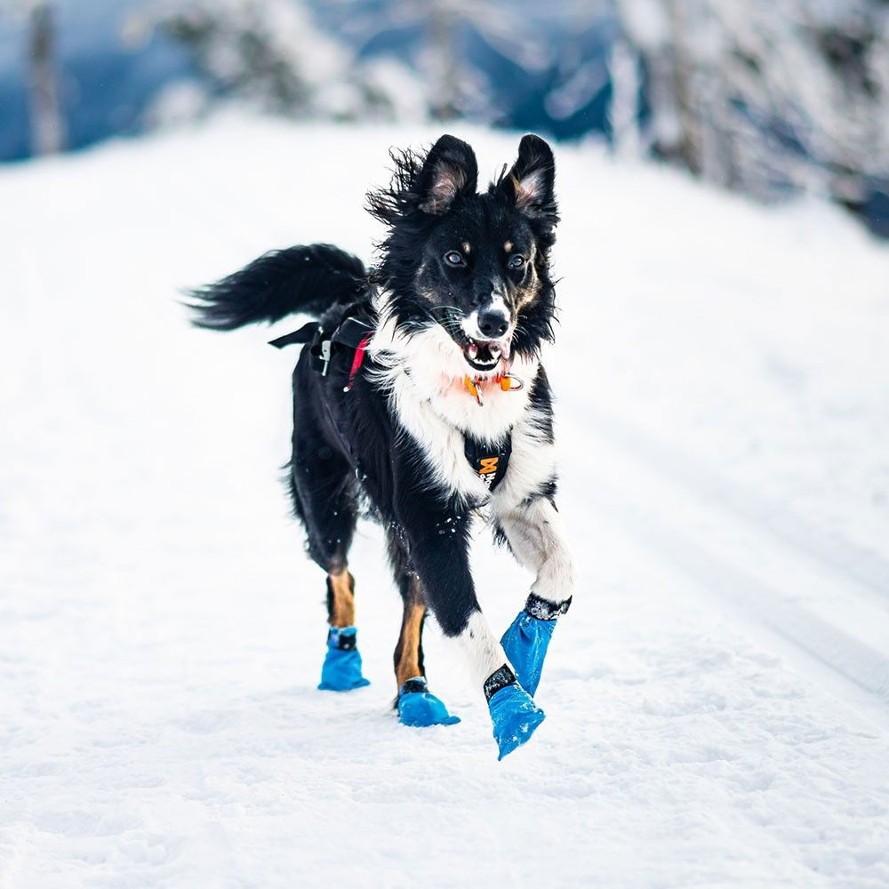 non-Stop Long Distance bootie