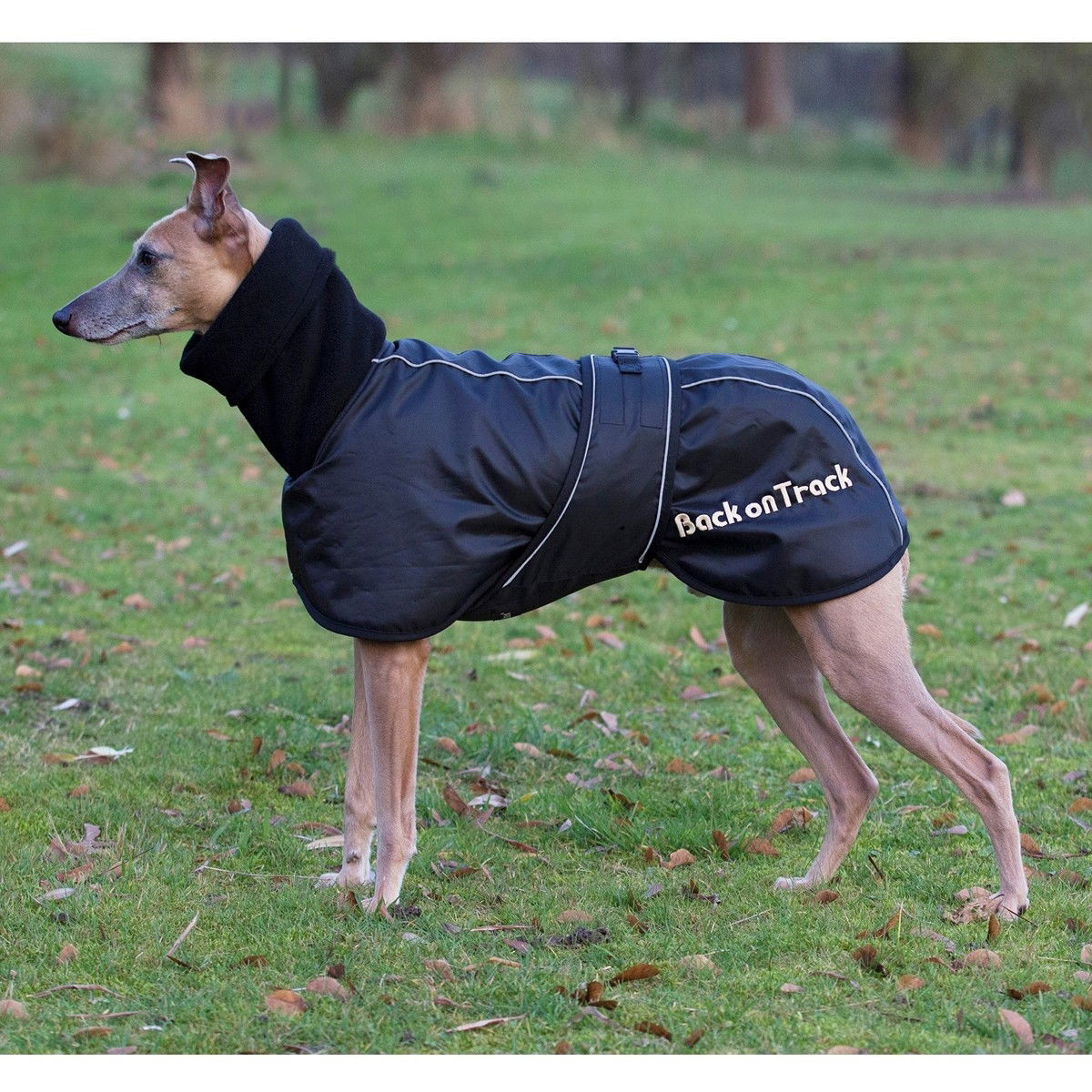 Back on Track Whippet rug, Black