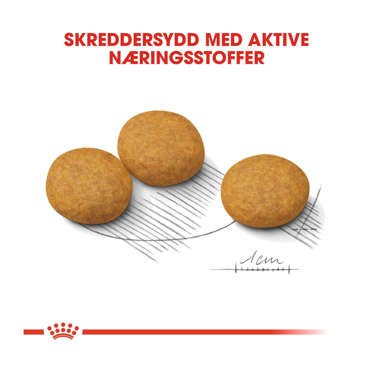 Royal Canin Dermacomfort Medium Adult tørrfôr til hund