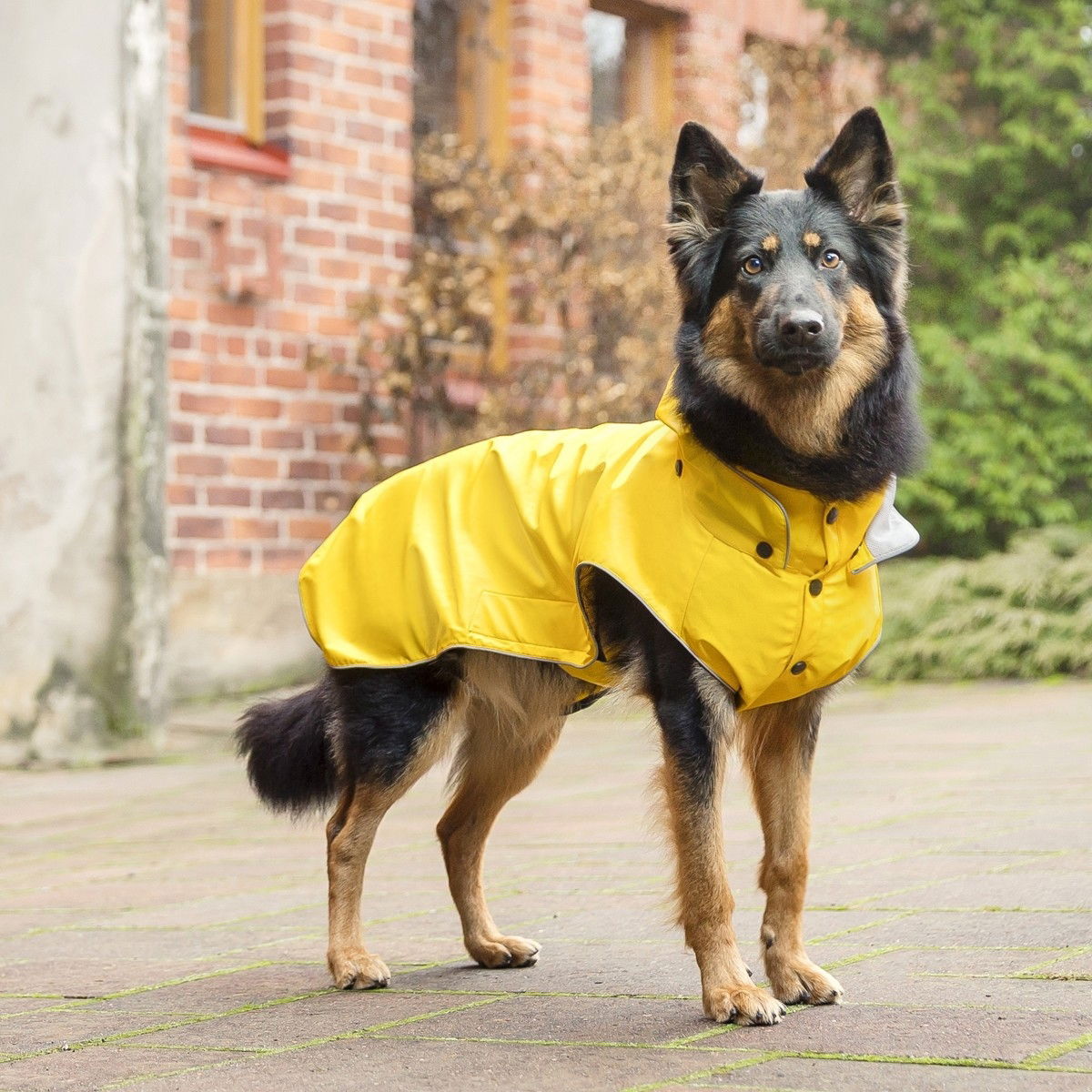 Rukka Stream regndekken gul