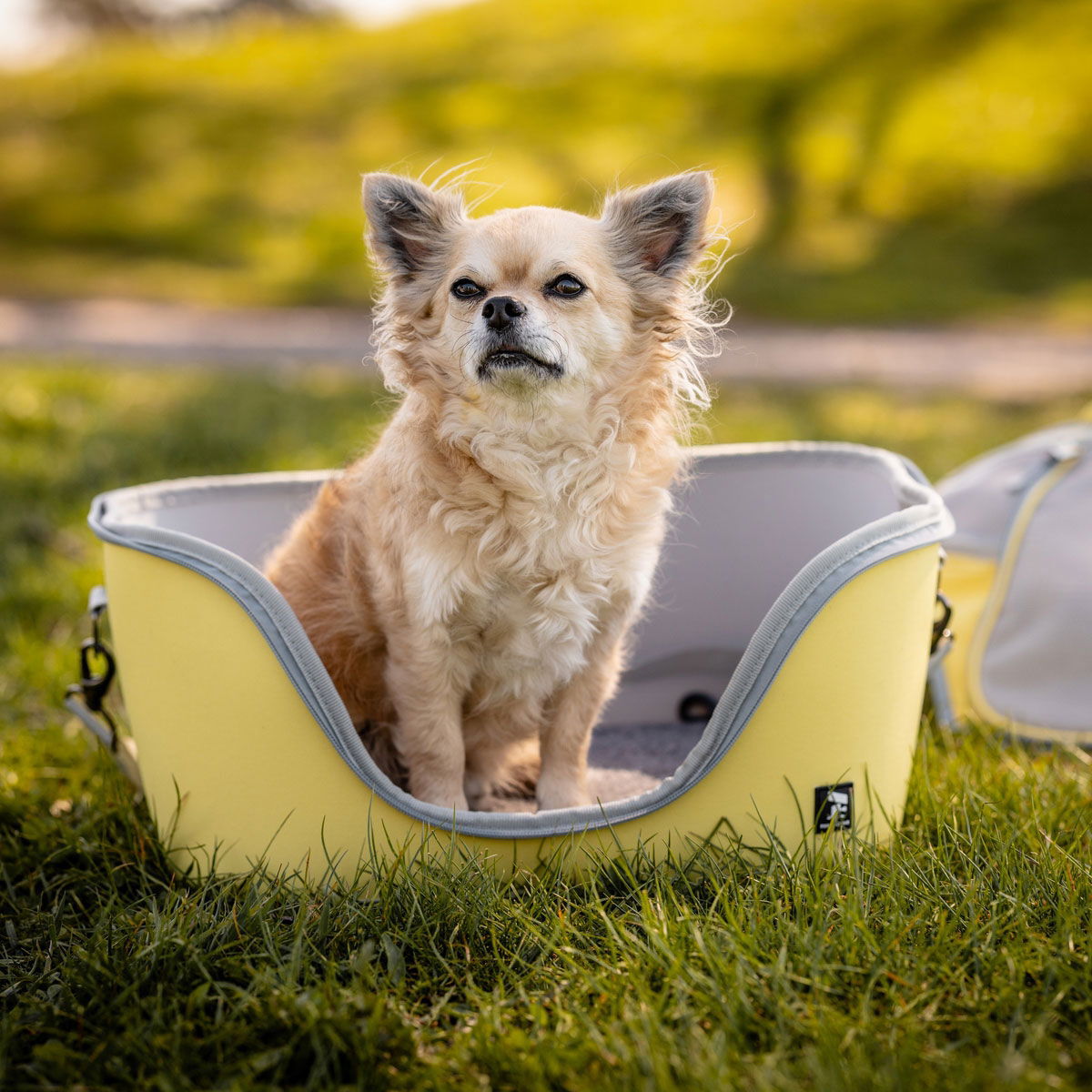 Feel Active Tour basket carrier lemon yellow