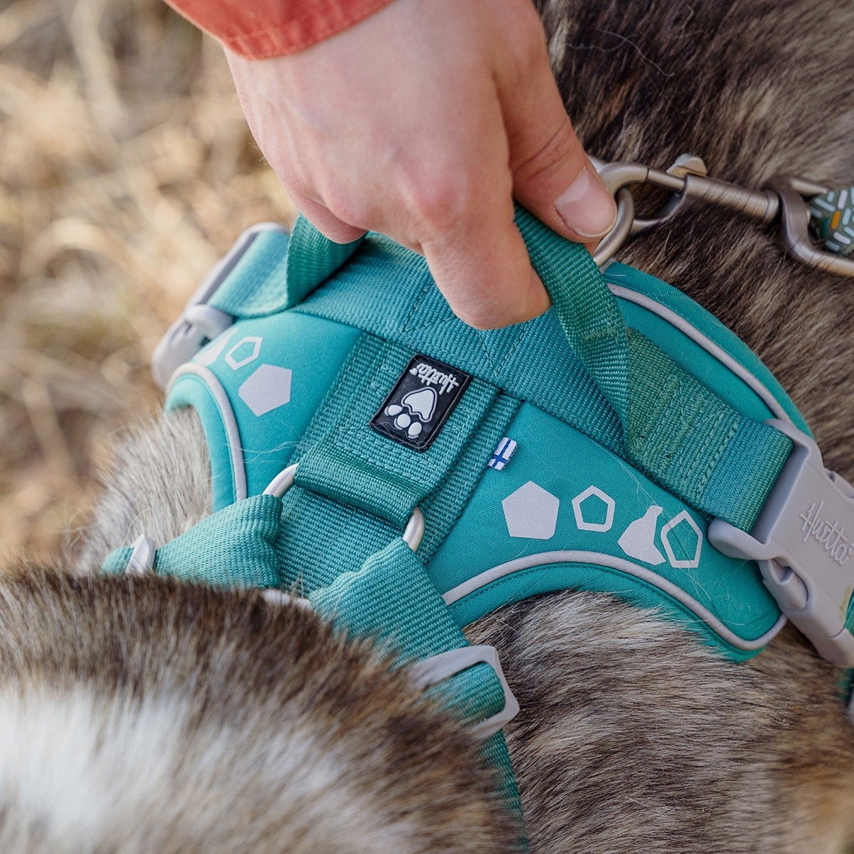 Hurtta Weekend Warrior harness, peacock