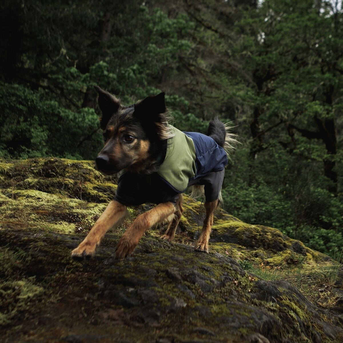 Ruffwear Sun Shower Coverall, Midnight Blue