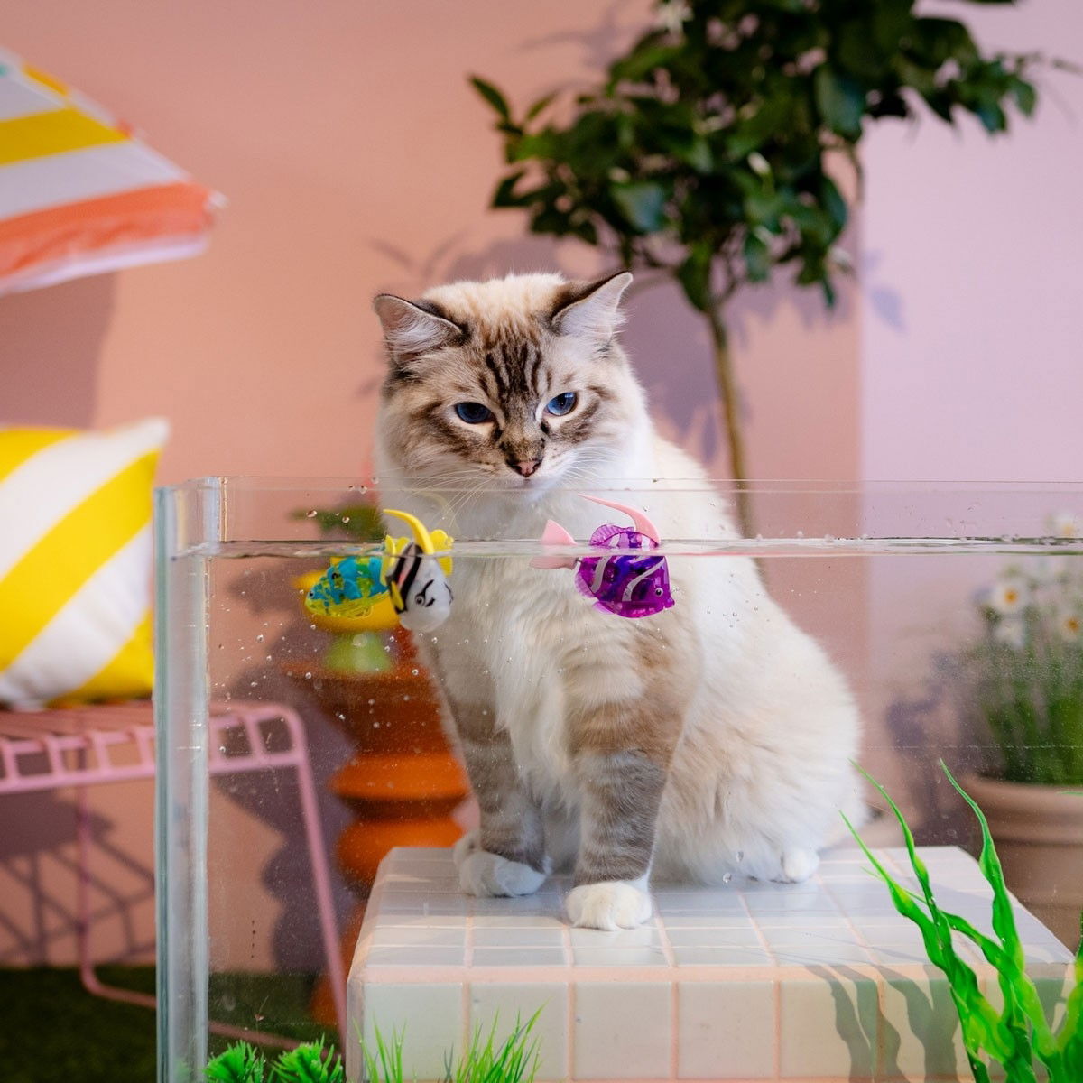 Little&Bigger Hot Summer Swimming Robot fish 2-pack