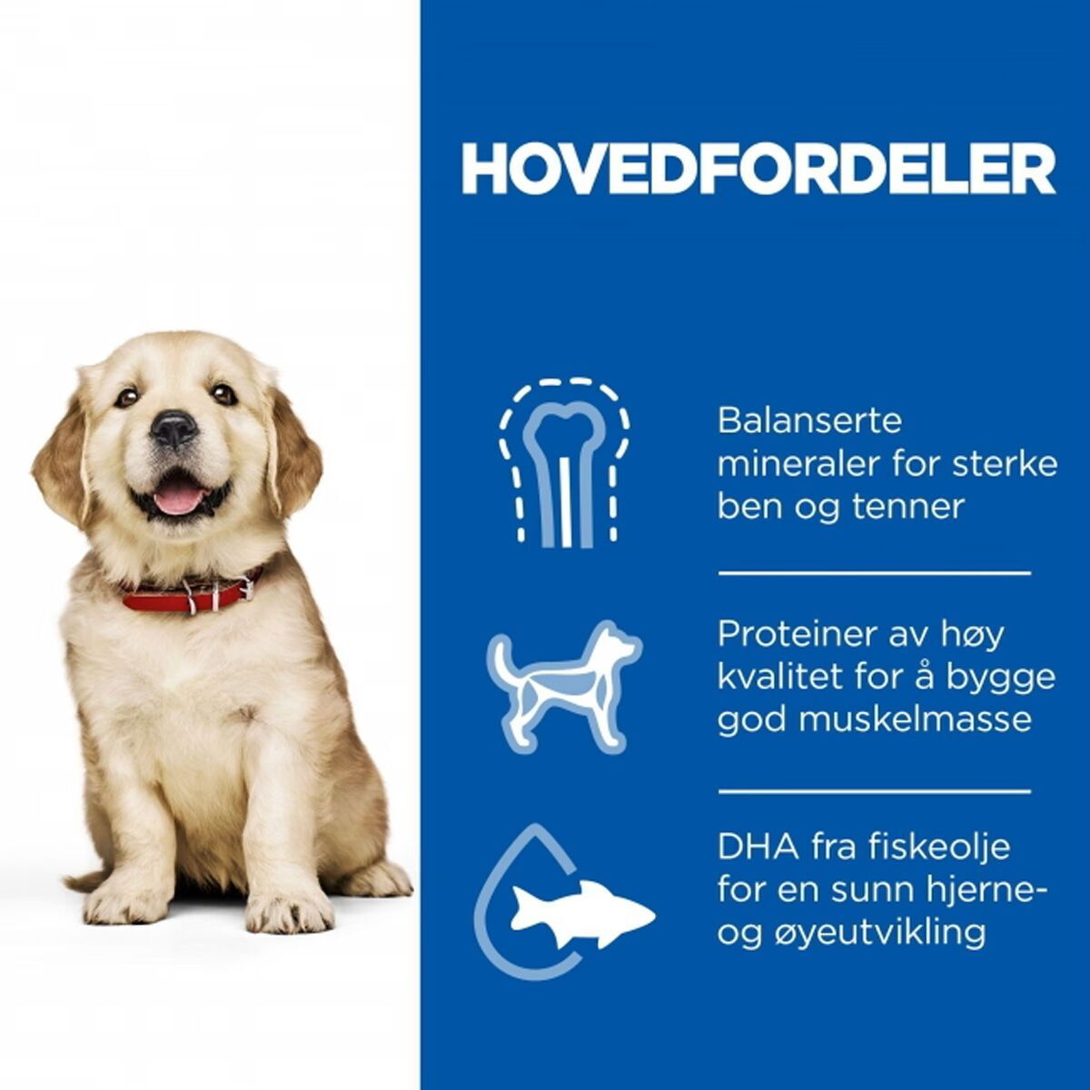 Hill's Science Plan Puppy Large Breed Chicken 2x14,5 kg