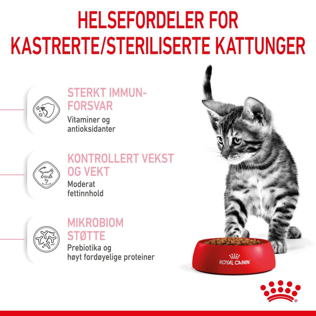 Royal Canin Kitten Sterilised tørrfôr til kattunge