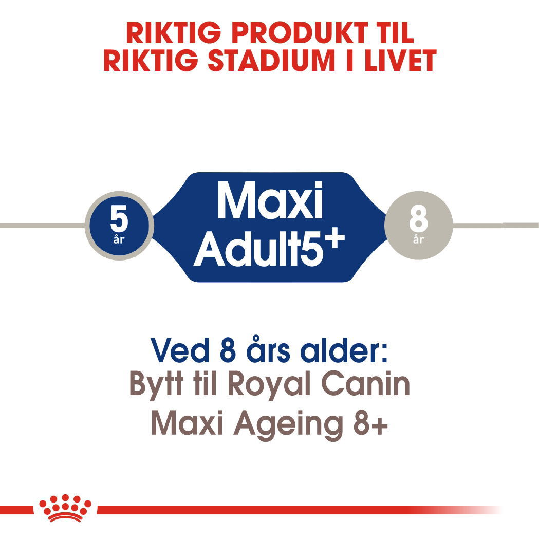 Royal Canin Maxi Adult 5+ tørrfôr til hund