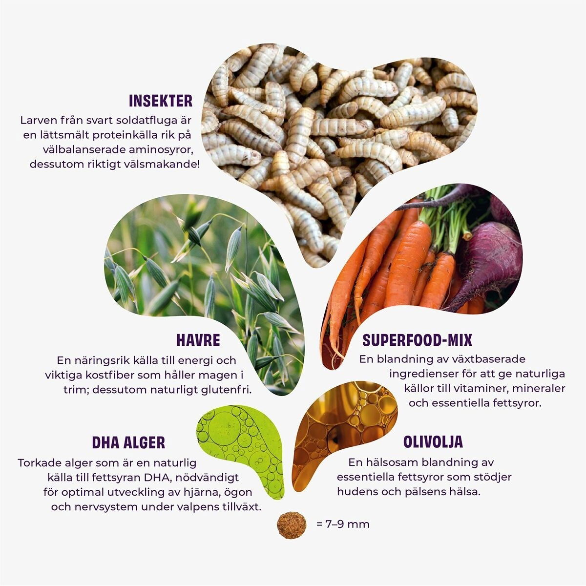 Petgood insect-dog food, pup, junior, nursing dogs