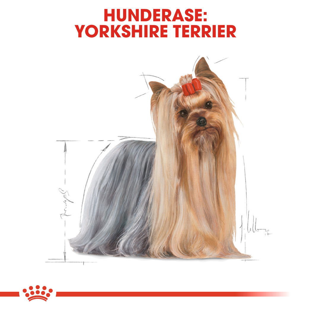 Royal Canin Yorkshire Terrier Adult Loaf våtfôr til hund