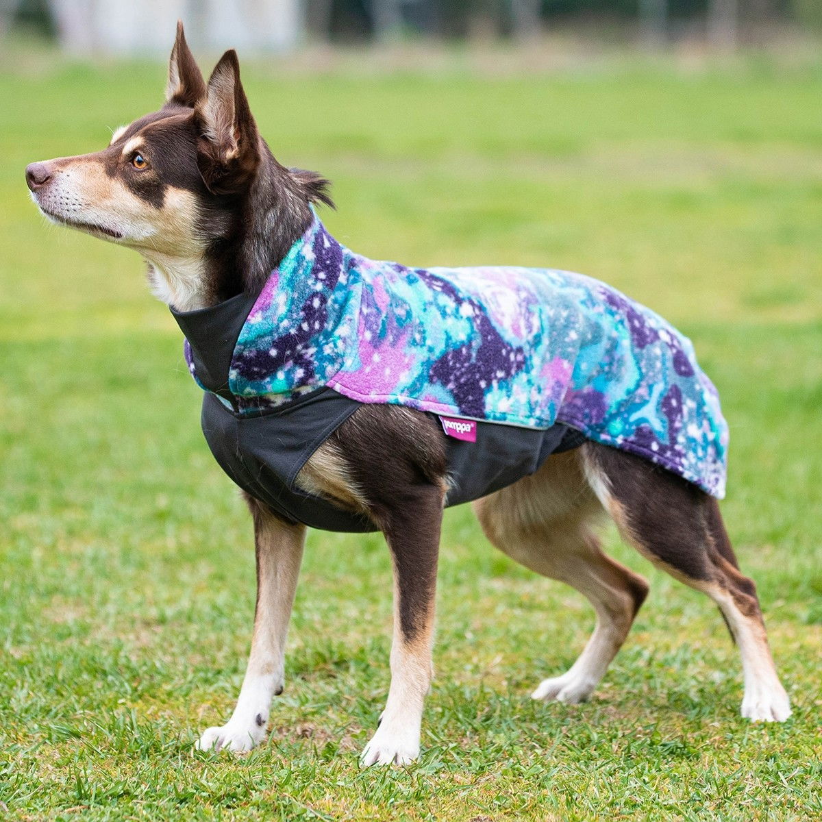 Jumppa Pomppa, Aurora