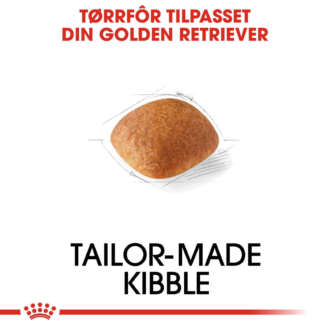Royal Canin Golden Retriever Adult tørrfôr til hund