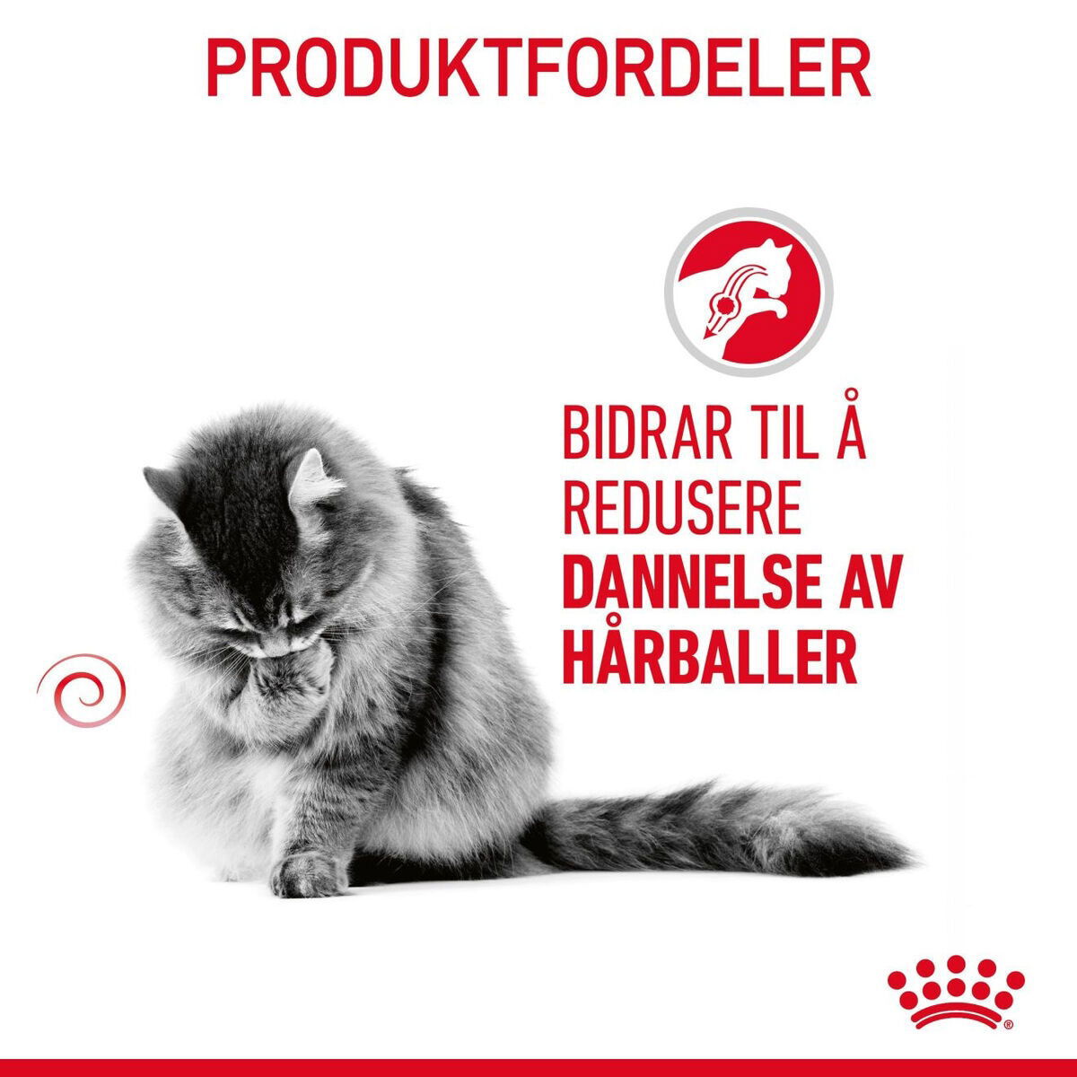 Royal Canin Hairball Care Adult tørrfôr til katt