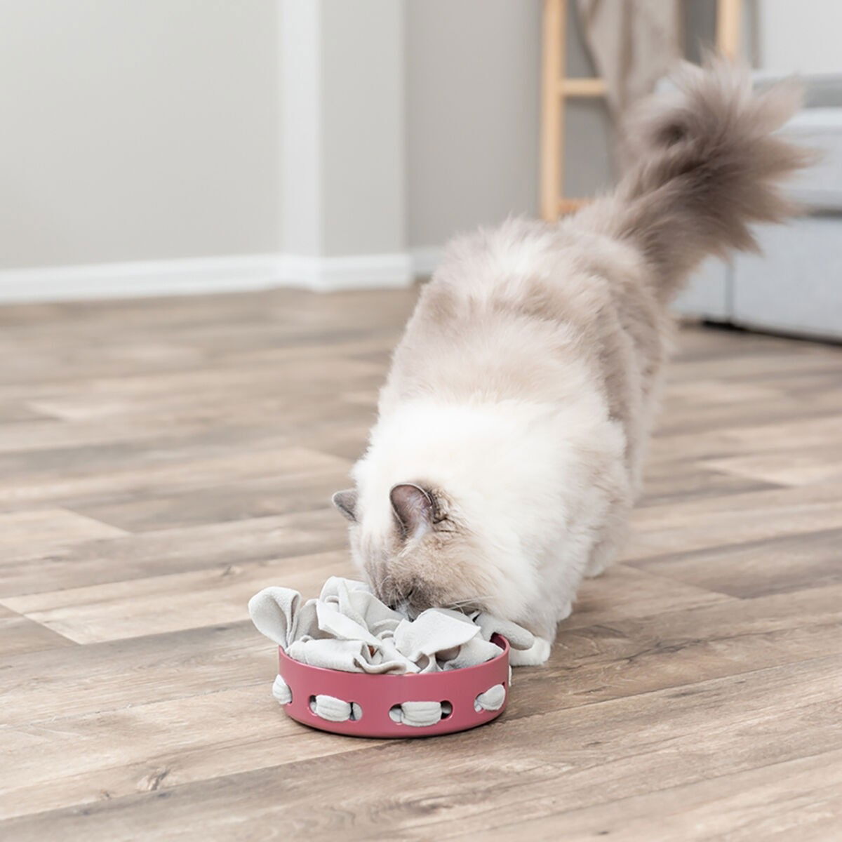 Trixie Cat Activity Hide'n'Sniff Bowl