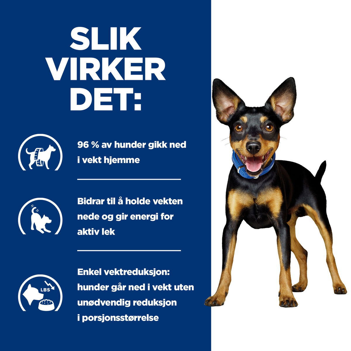 Hill's PD Canine Metabolic Mini Stew Chick&Veg 156g