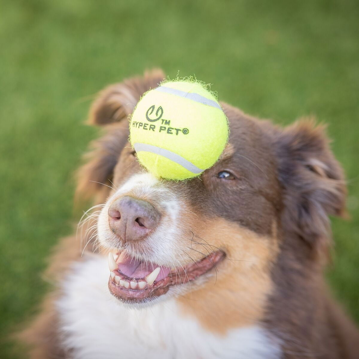 HYPER TENNIS BALLS Green 4pcs