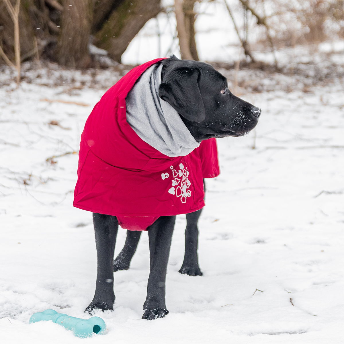 Hurtta Extreme Warmer lingon