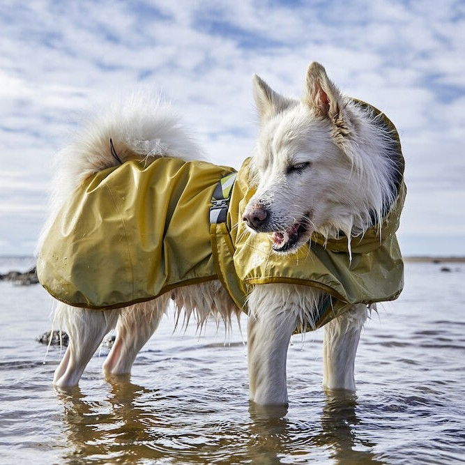 Hurtta Mudventure Coat Reflective turmeric