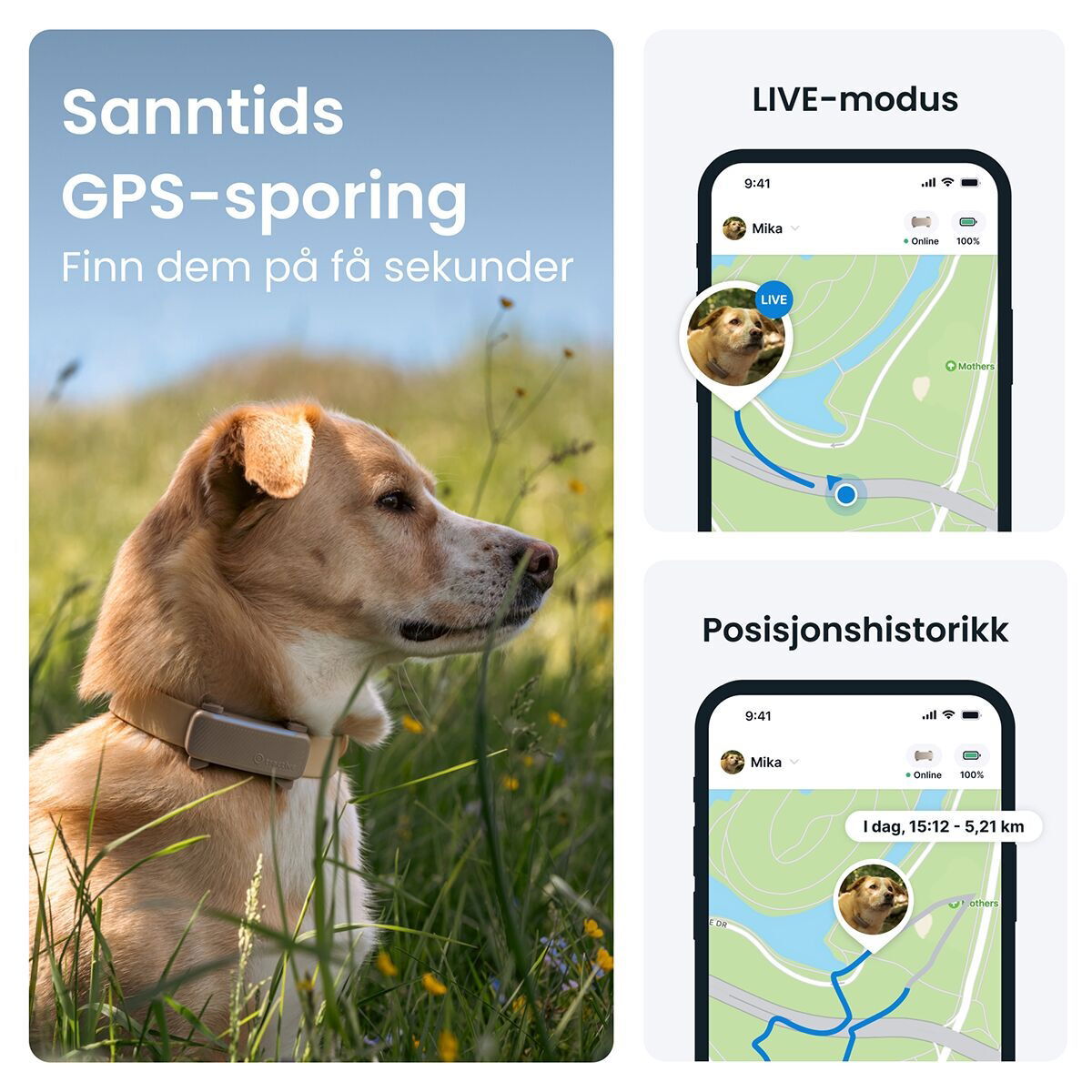 Tractive for DOG 6 tracker