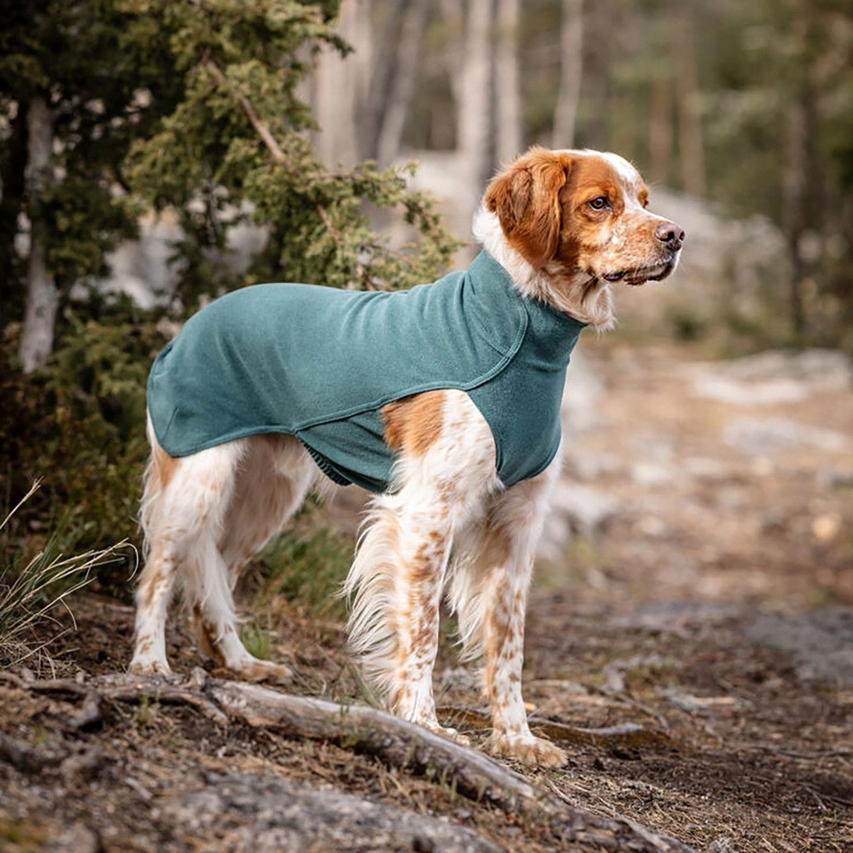 Feel Active Halla shirt petrol green