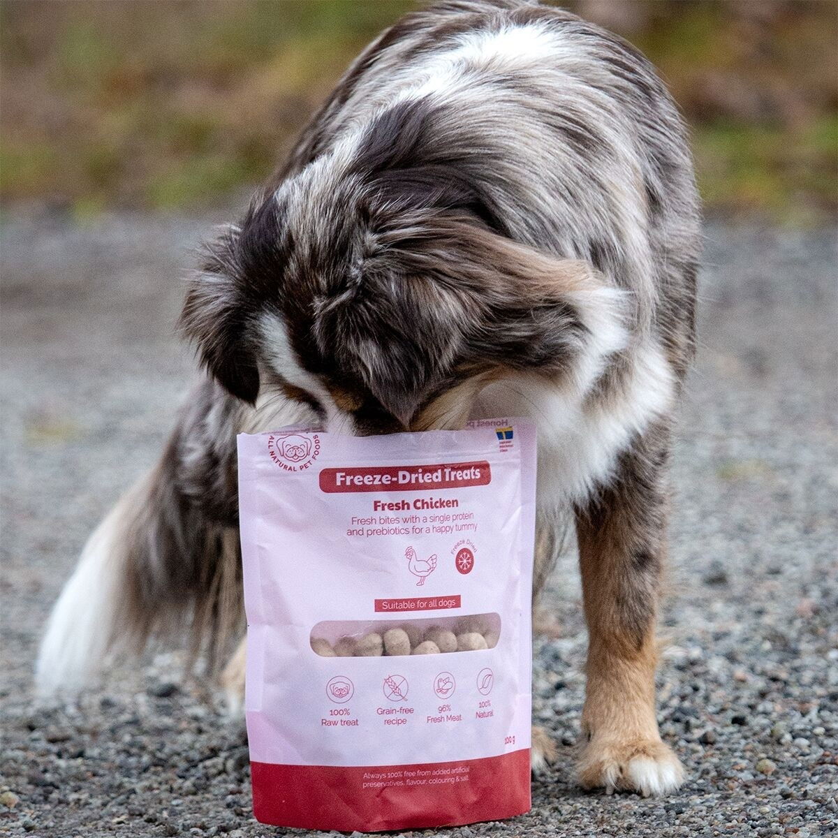 Buddy Freeze-dried Chicken 100g