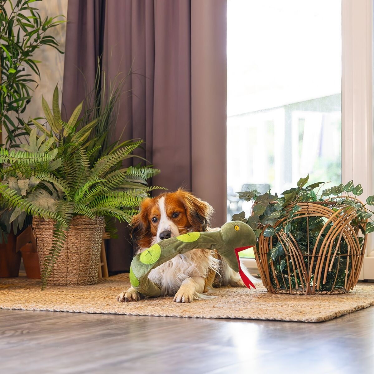 Beeztees Hide N Seek Jungle Kani Snake