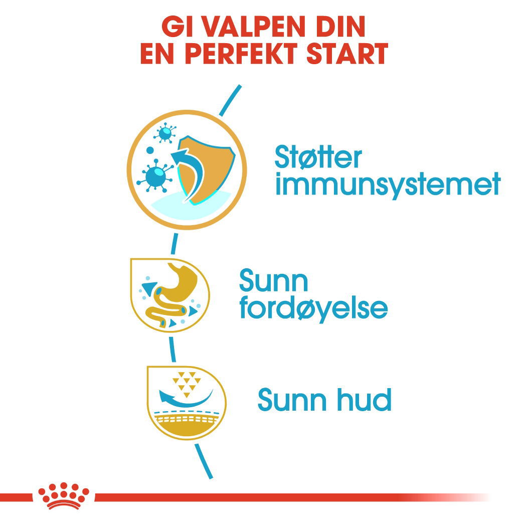 Royal Canin French Bulldog Puppy tørrfôr til hundvalp