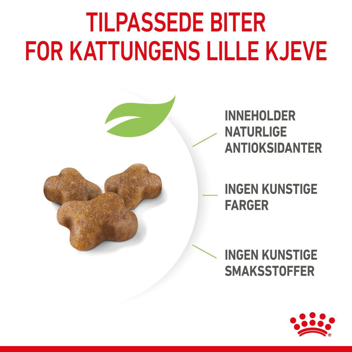 Royal Canin Kitten tørrfôr til kattunge