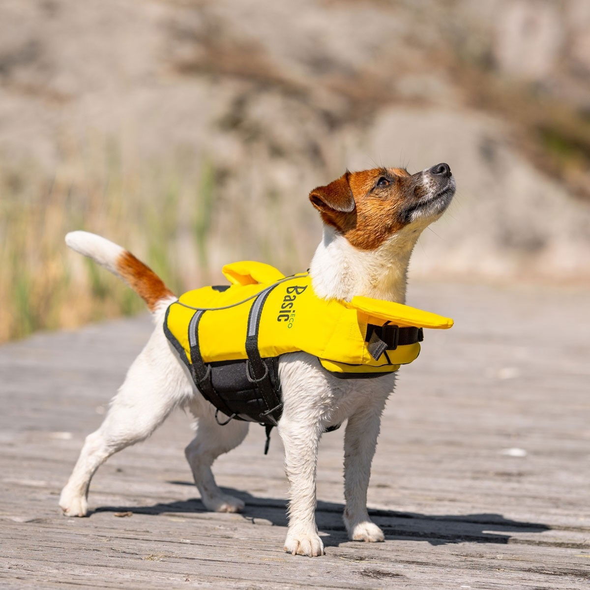 Basic Float lifejacket Eco 2.0 yellow