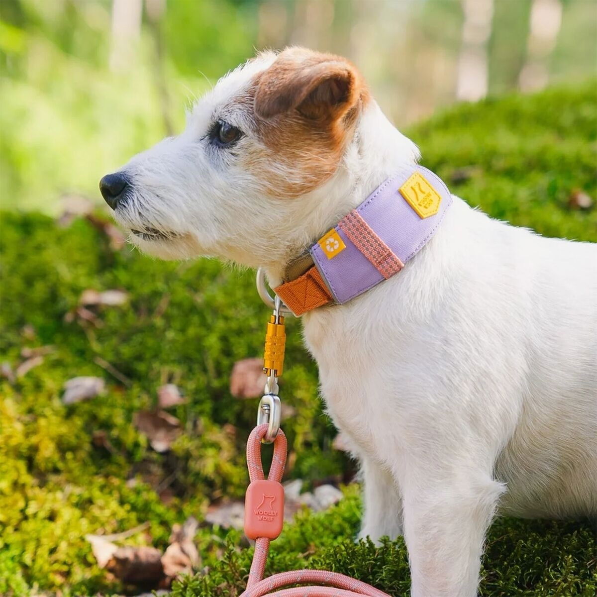 Woolly Wolf Alpha 360 collar, Lavender Mix