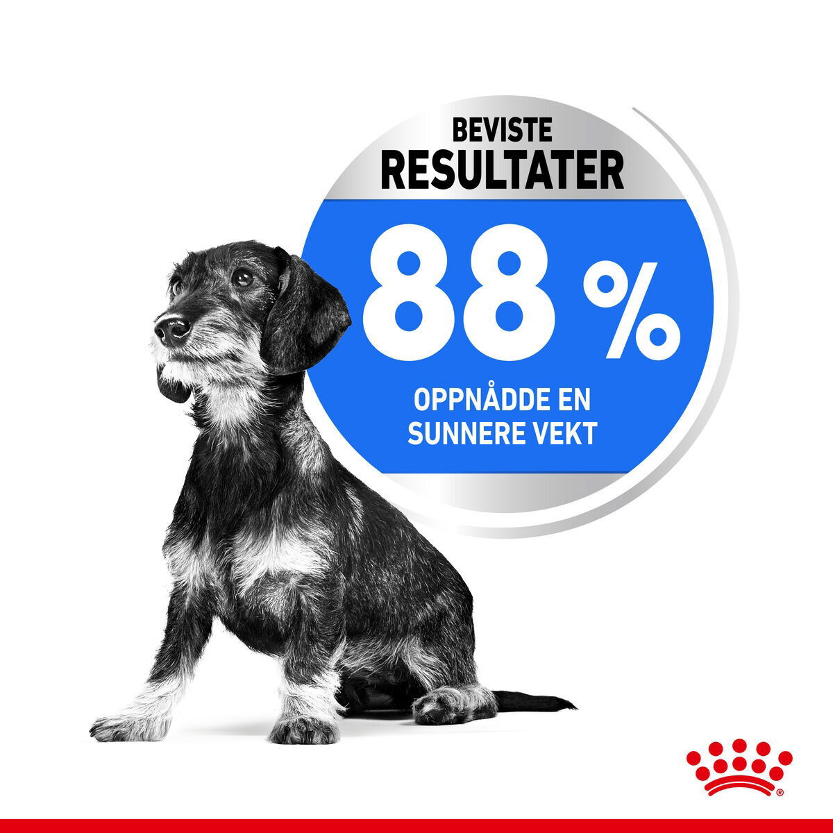 Royal Canin Light Weight Care Mini Adult tørrfôr til hund