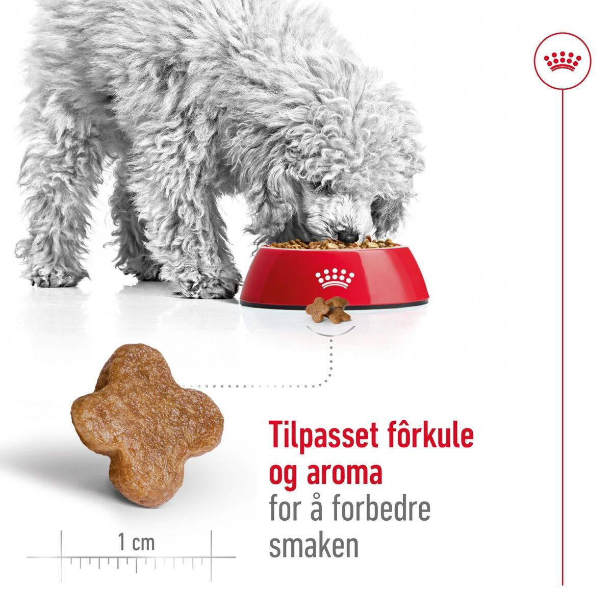Royal Canin Mini Adult 8+ tørrfôr til hund